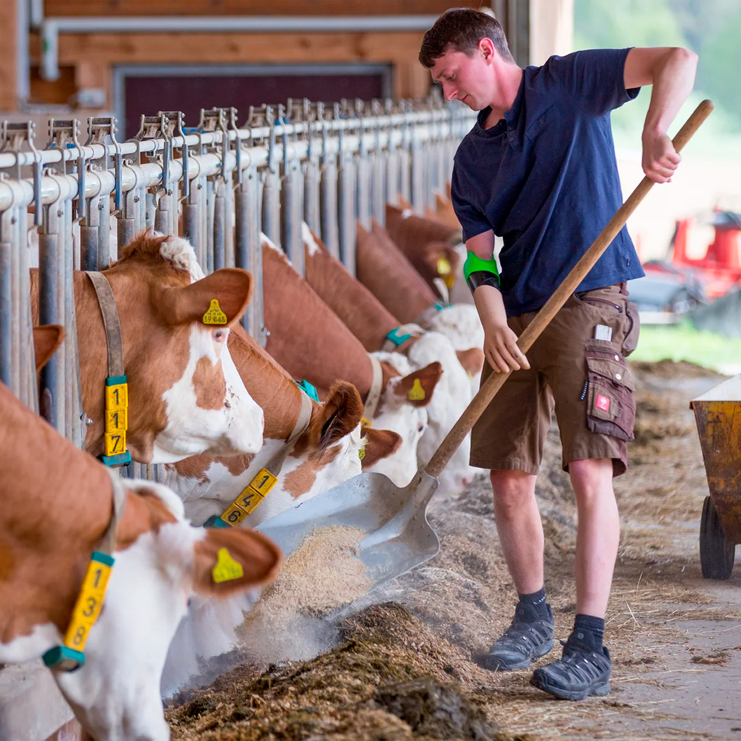 myoelektrische-armprothese-pohlig-11 (ITA)