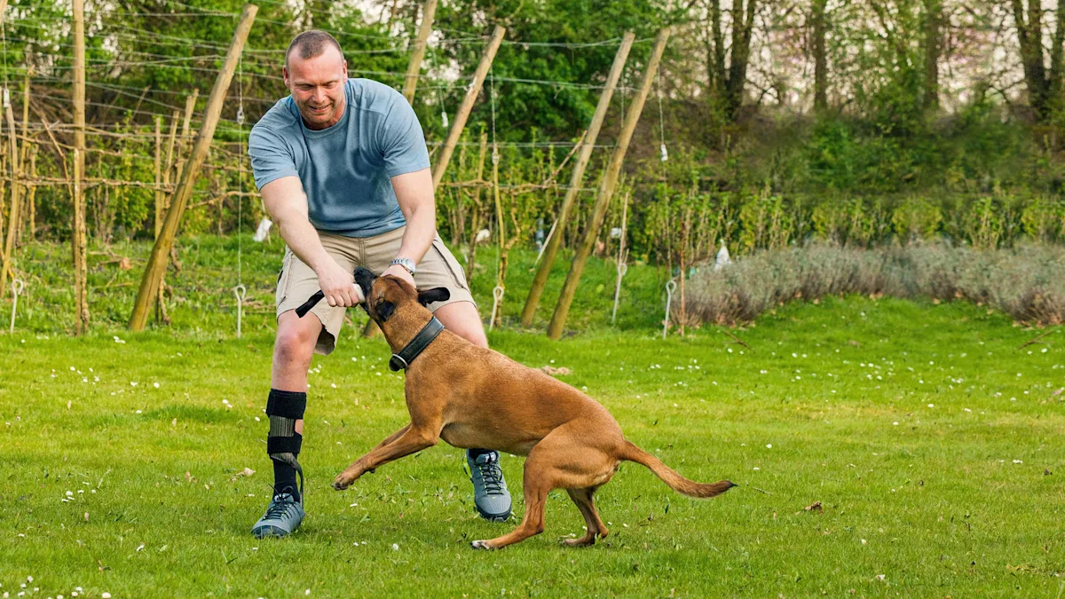 OC - Ankle Foot Orthotics_Stage_Teaser_Image (US)