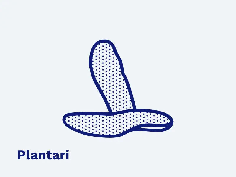 SVG Plantari Icona Azzurra Ottobock (ITA)