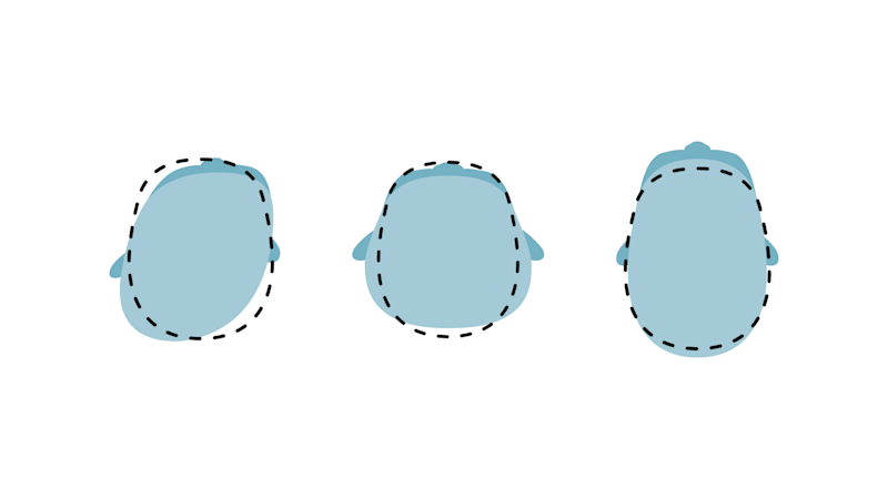 mycro-band-forms-169 (ITA)
