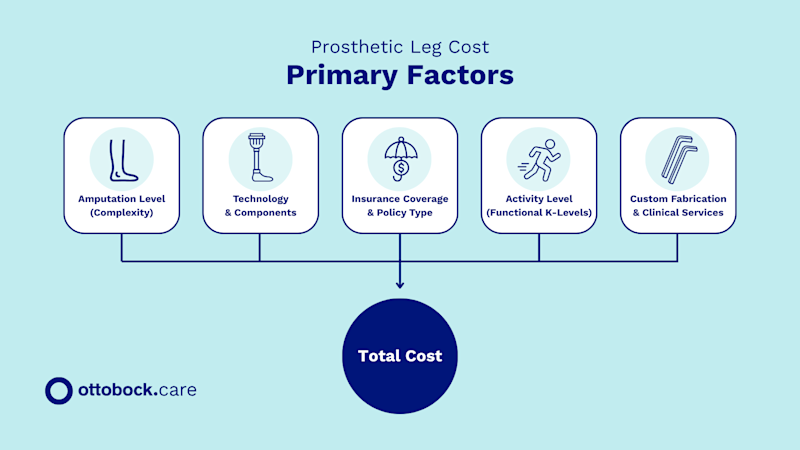 A breakdown of the primary factors that determine the cost of a prosthetic leg