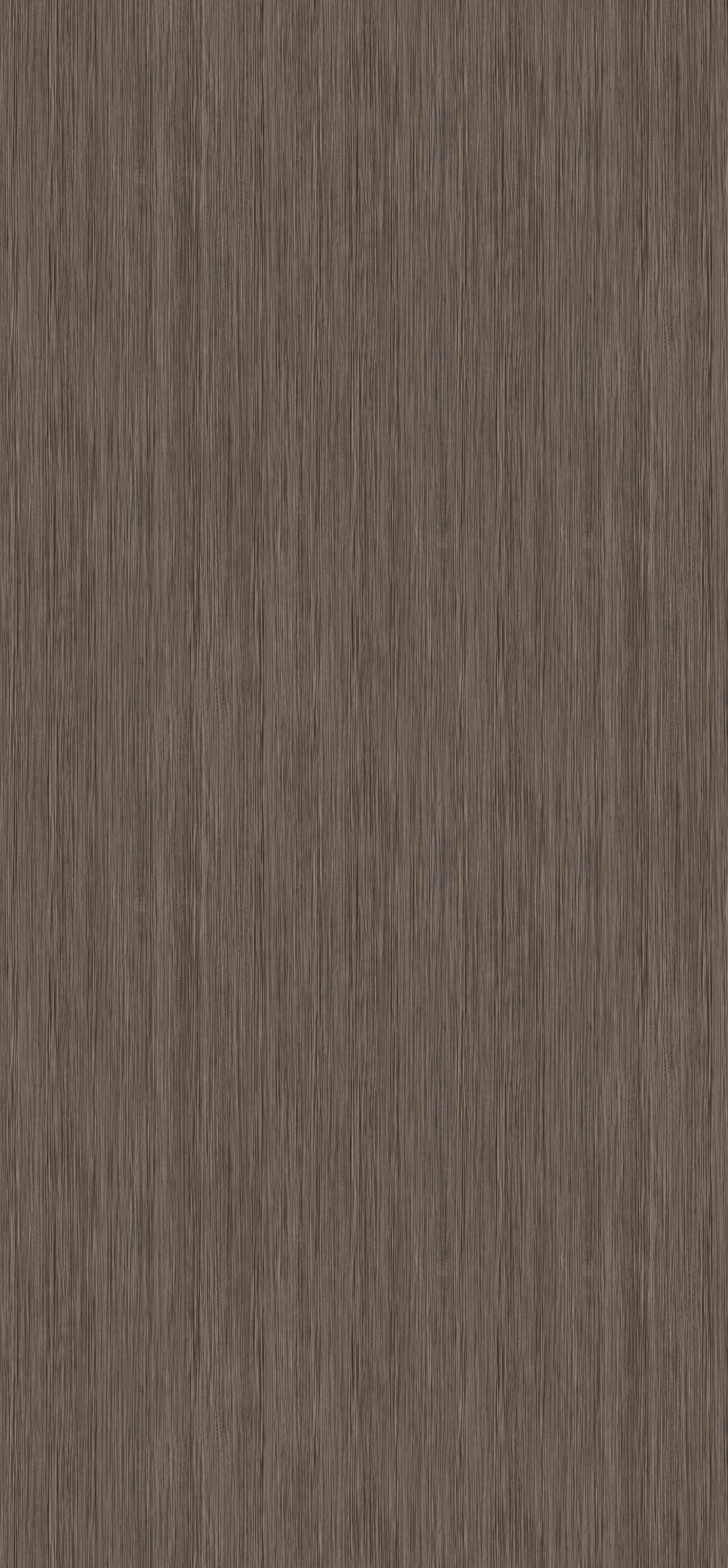 H3003 ST19 Norwich Oak