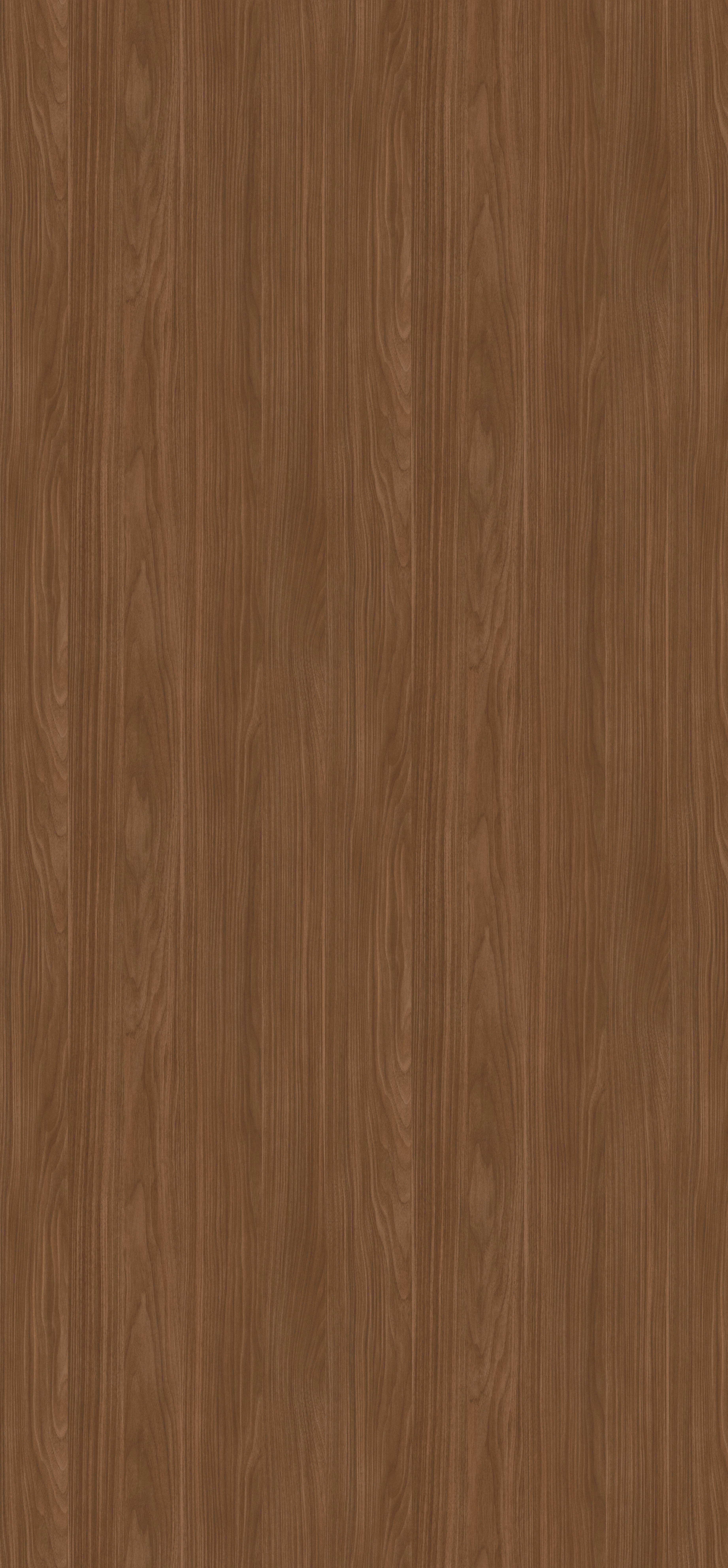 H1714 ST19 Lincoln Walnut