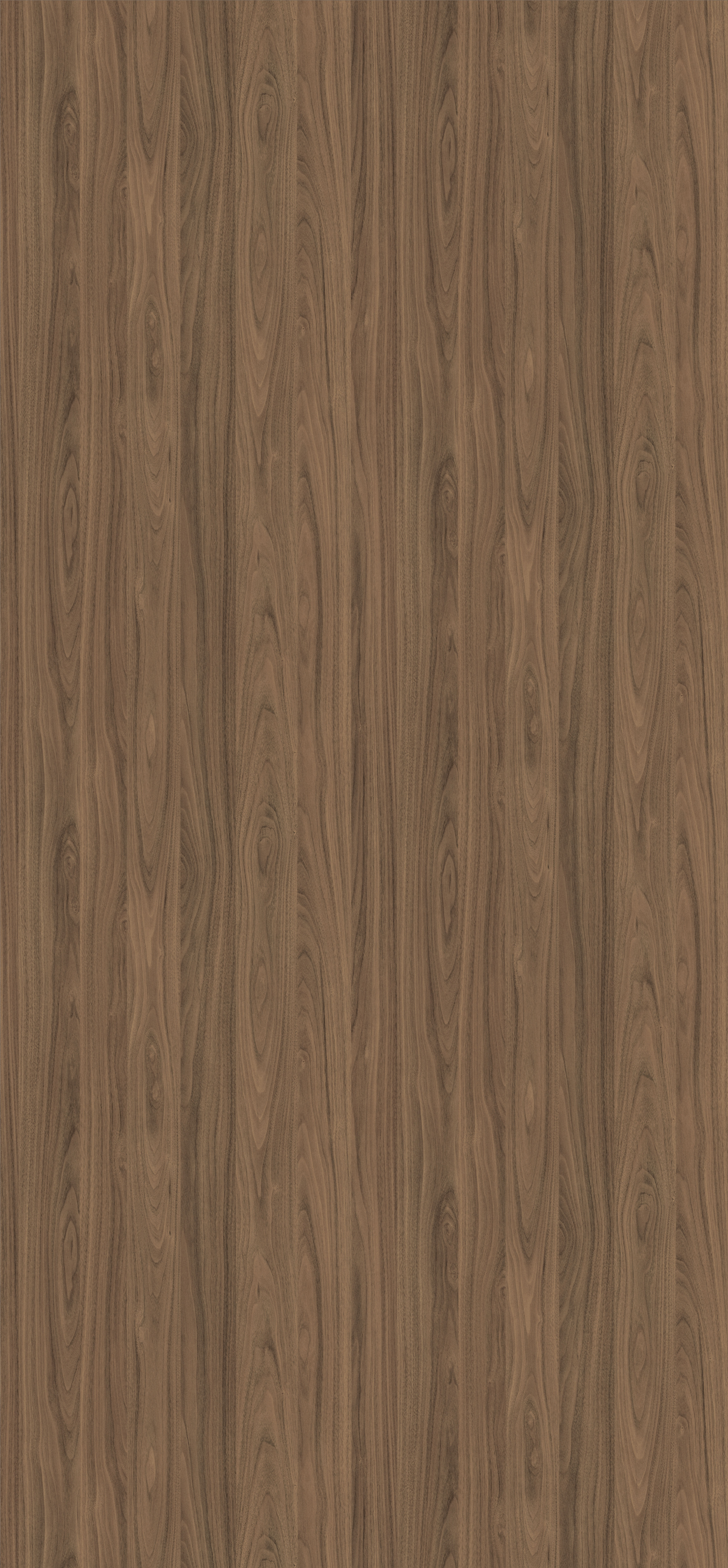 H3710 ST12 Natural Carini Walnut