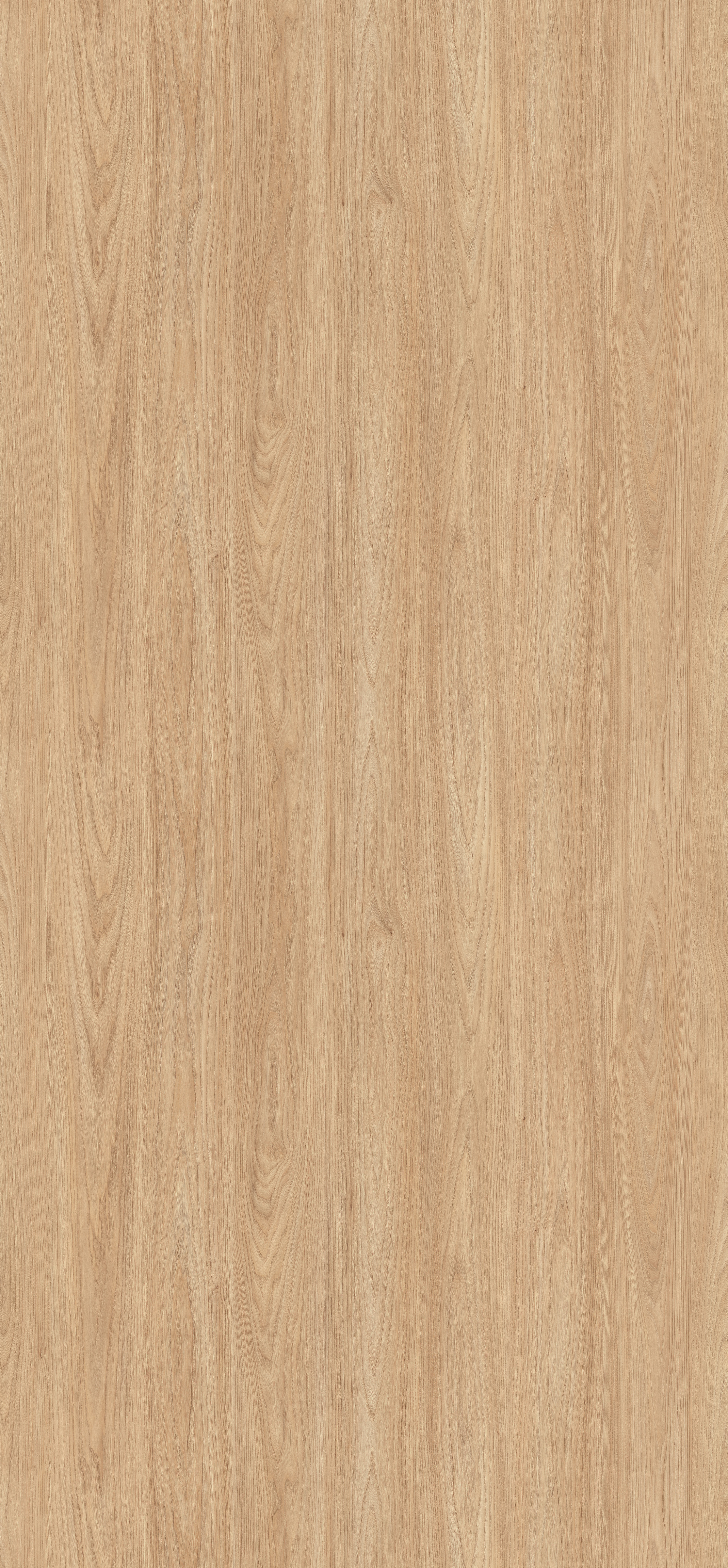 H1242 ST10 Natural Sheffield Acacia