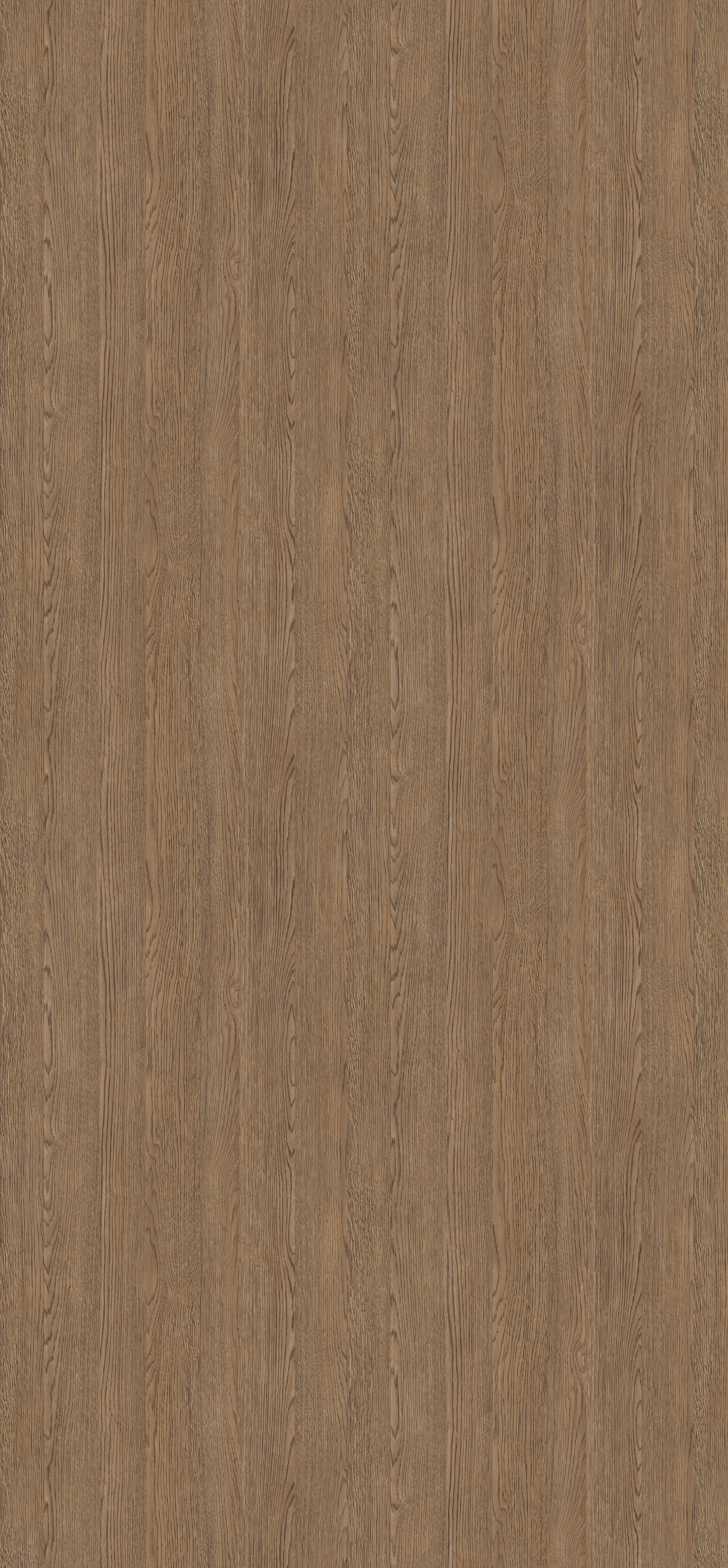 H1303 ST12 Brown Belmont Oak