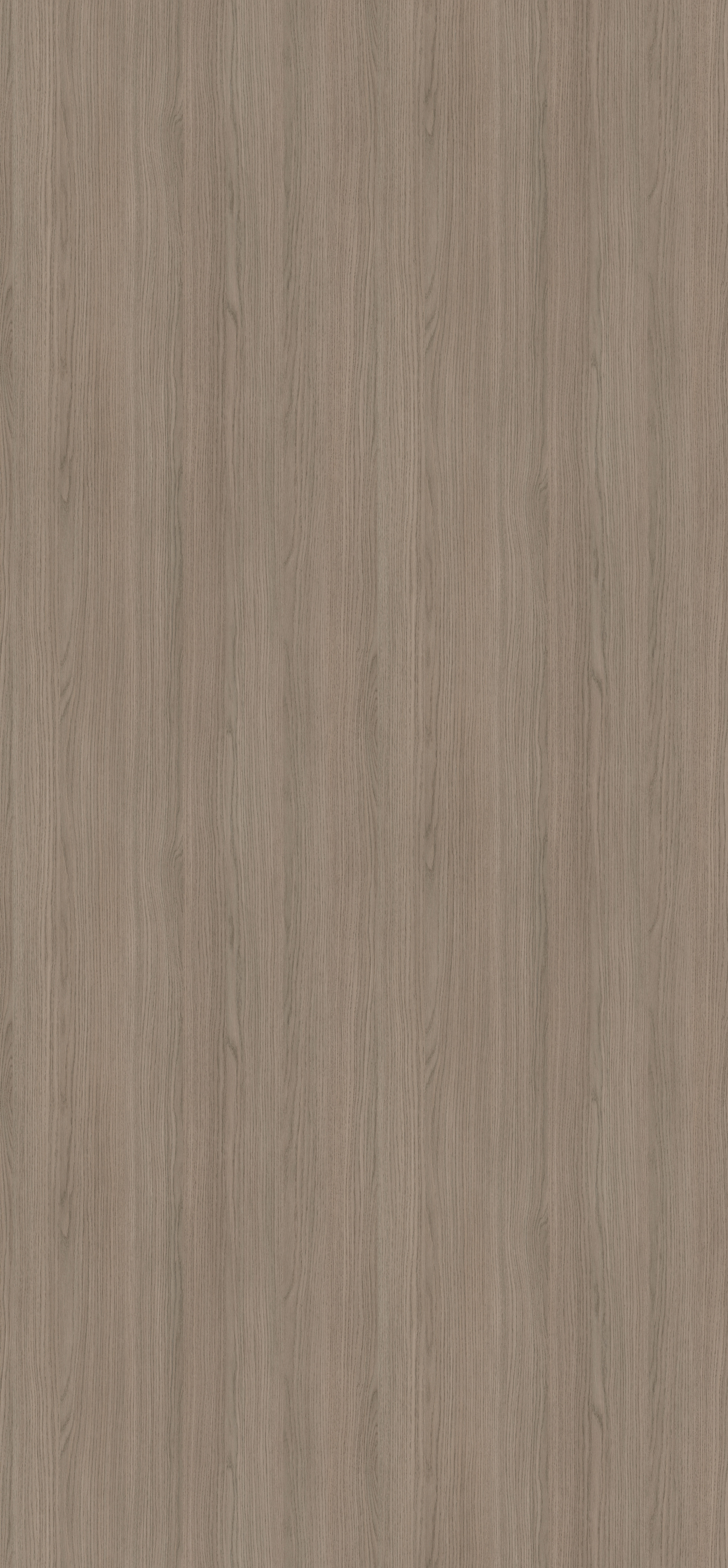 H3158 ST19 Grey Vicenza Oak