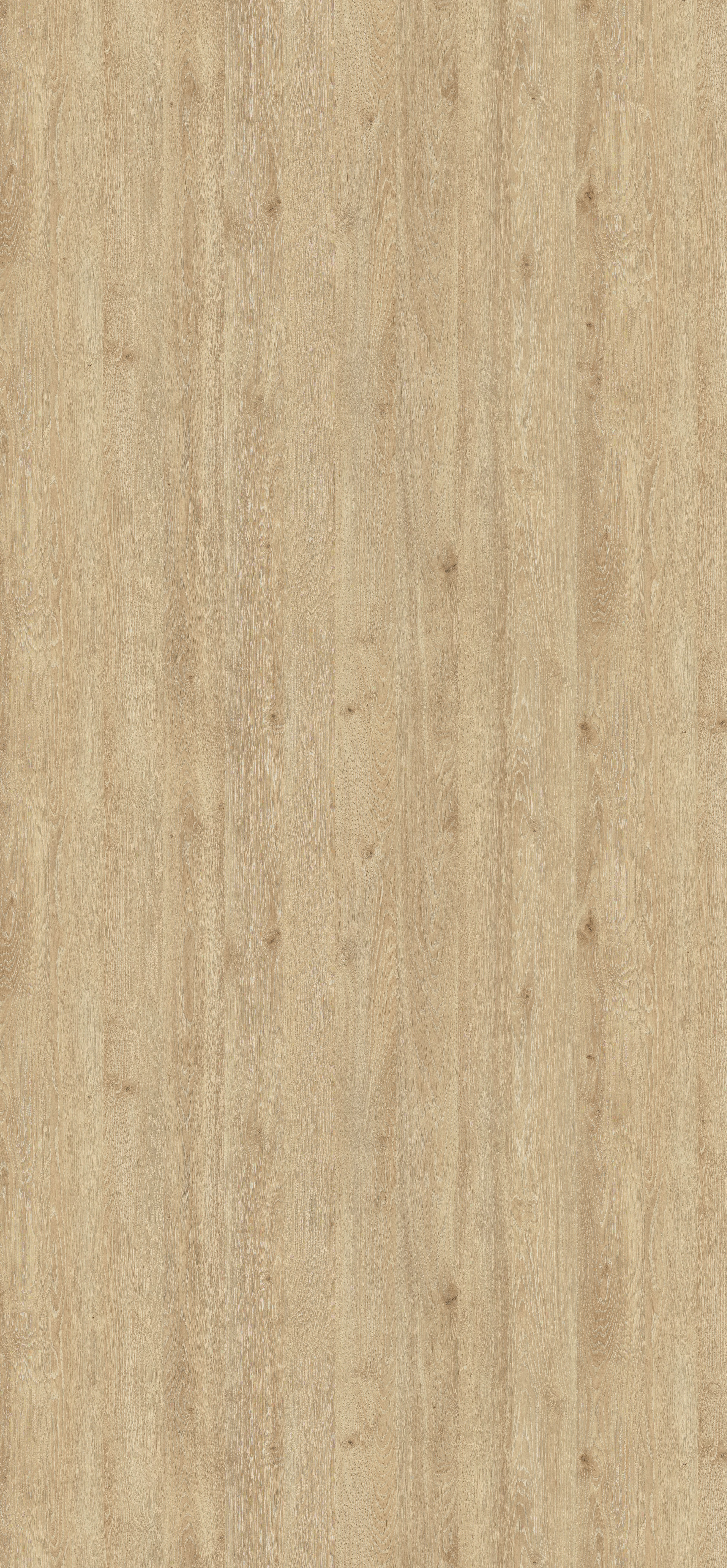 H3131 ST12 Natural Davos Oak