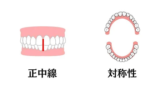 正中と対称性のイラスト