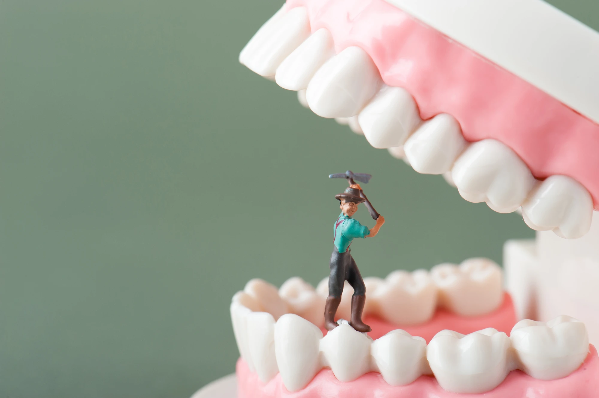 歯並びを気にしていることを明かしている芸能人