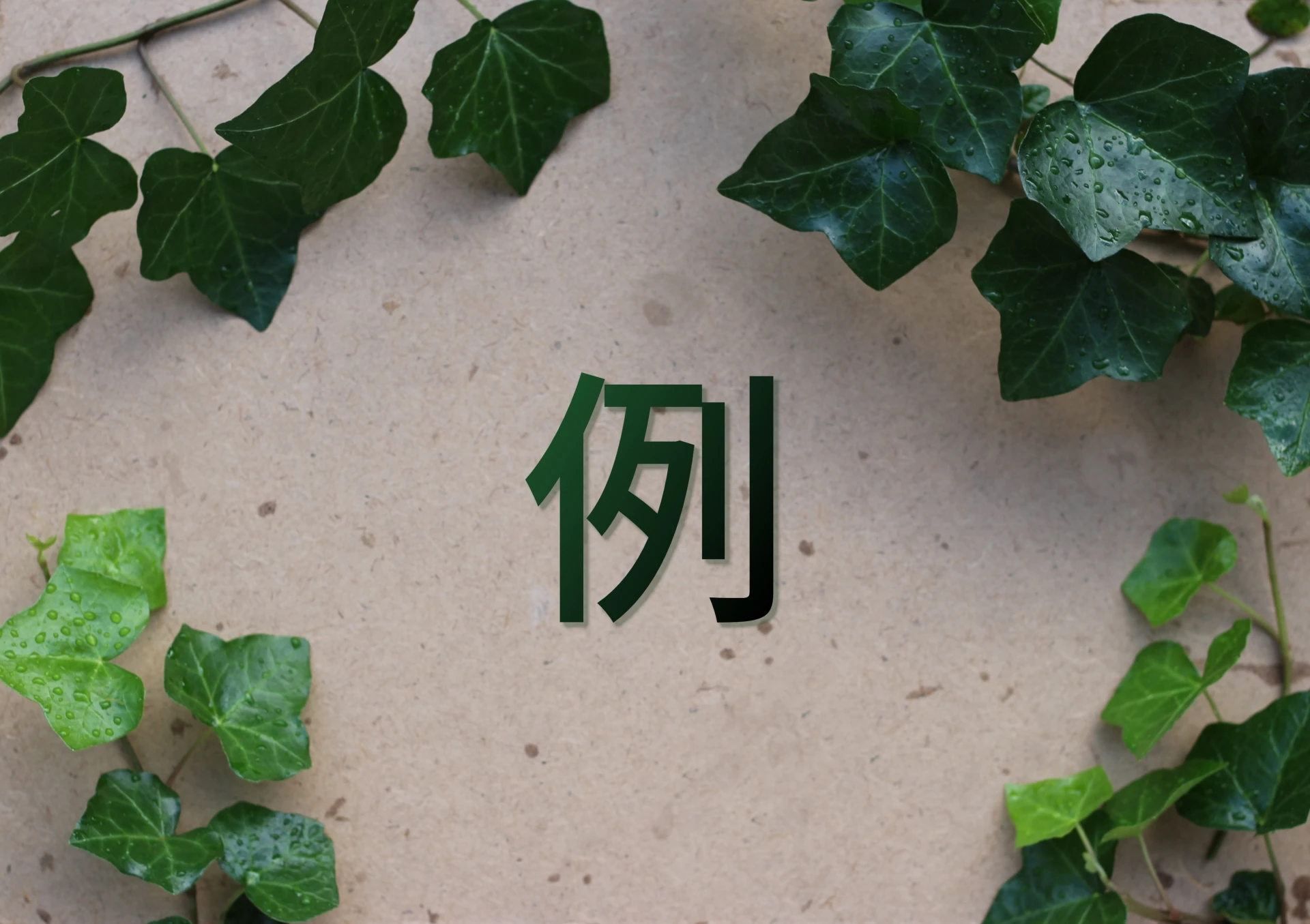 下の歯の矯正の症例