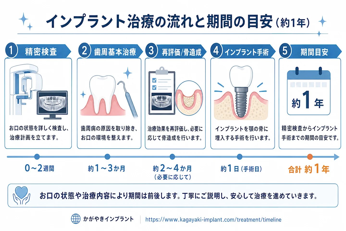 精密検査から歯周基本治療・再評価・インプラント手術までの約1年の治療スケジュールを示すタイムライン図