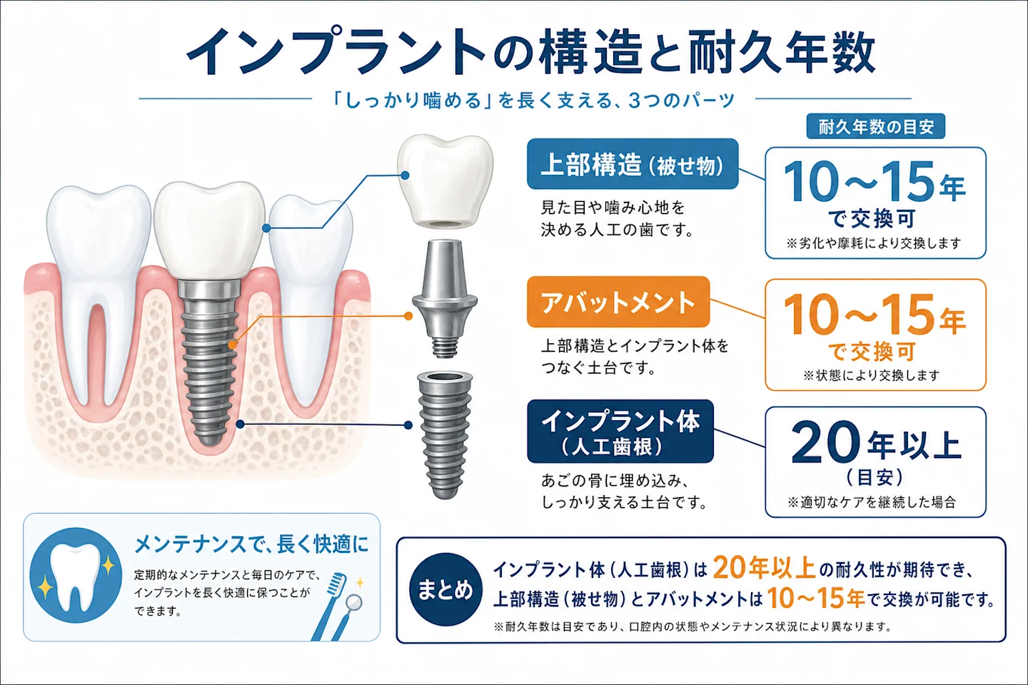インプラントの構造(人工歯根・アバットメント・上部構造)とパーツごとの耐久年数を示した図