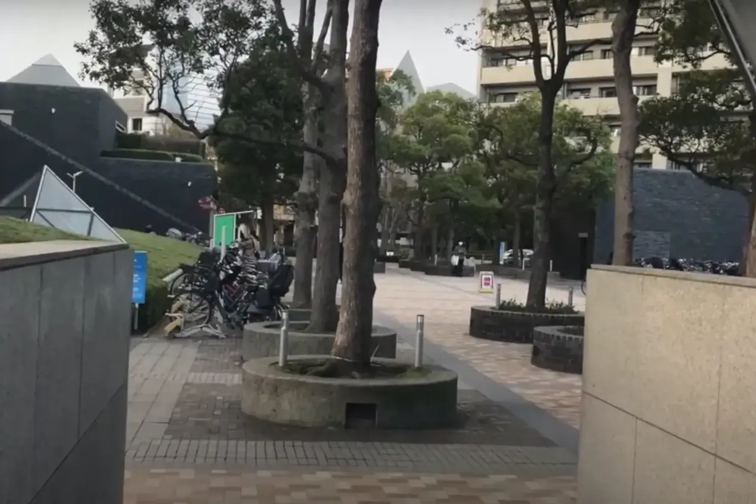 エムデンタル矯正歯科・用賀_access2