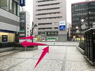 ピュアリオ歯科_access2