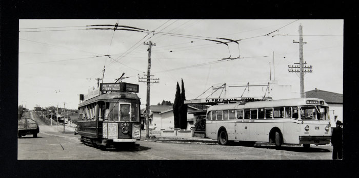 Graham Stewart. March 1953. [Tram 248 and B.U.T. trolleybus bus 29 at Westmere terminus in Garnet Road on the corner of Oban Road.] PHO-2020-19.262.  Walsh Memorial Library, The Museum of Transport and Technology (MOTAT).   