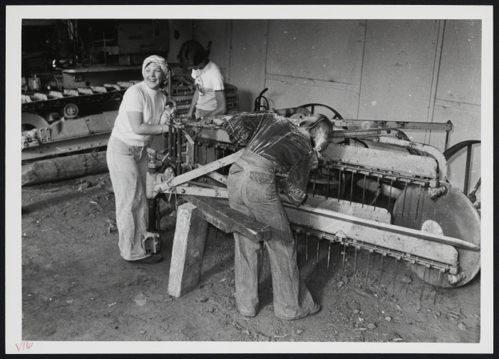 Live Days: three women restoring harrows, Restorathon (1976)