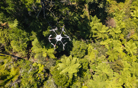 Conservation at height with Envico Technologies