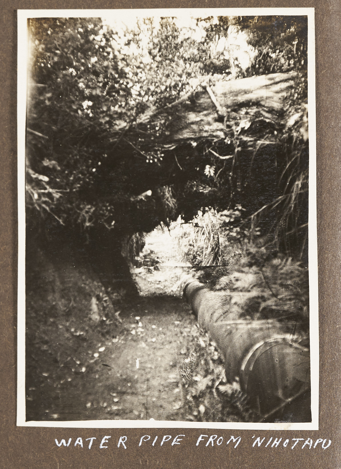 Water pipe from a dam on Nihotupu River. Gary White. 1920s-1930s