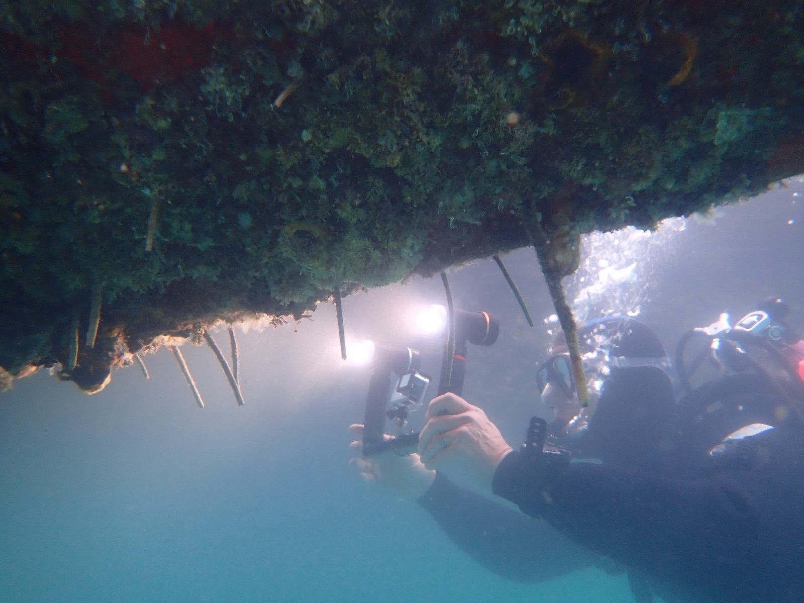 Oliver Floerl from Cawthron Institute