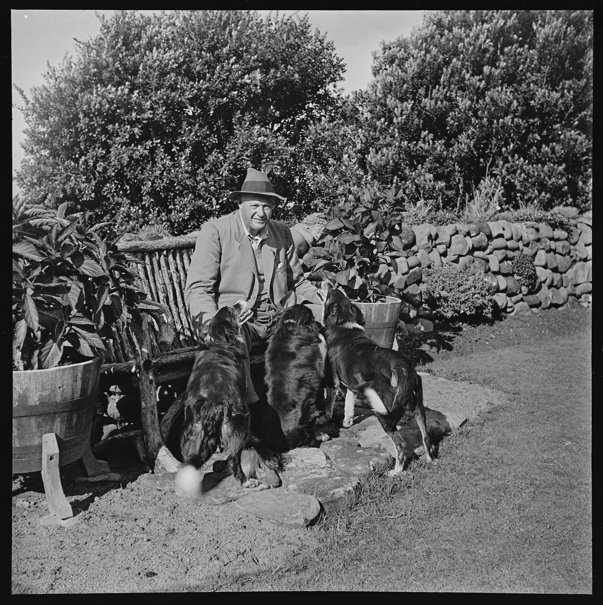Ron Vine. Colonel Adams sits with sheepdogs, PHO-2021-11.0168. Walsh Memorial Library, The Museum of Transport and Technology (MOTAT).