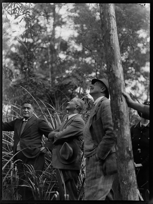 1920s bush scene 