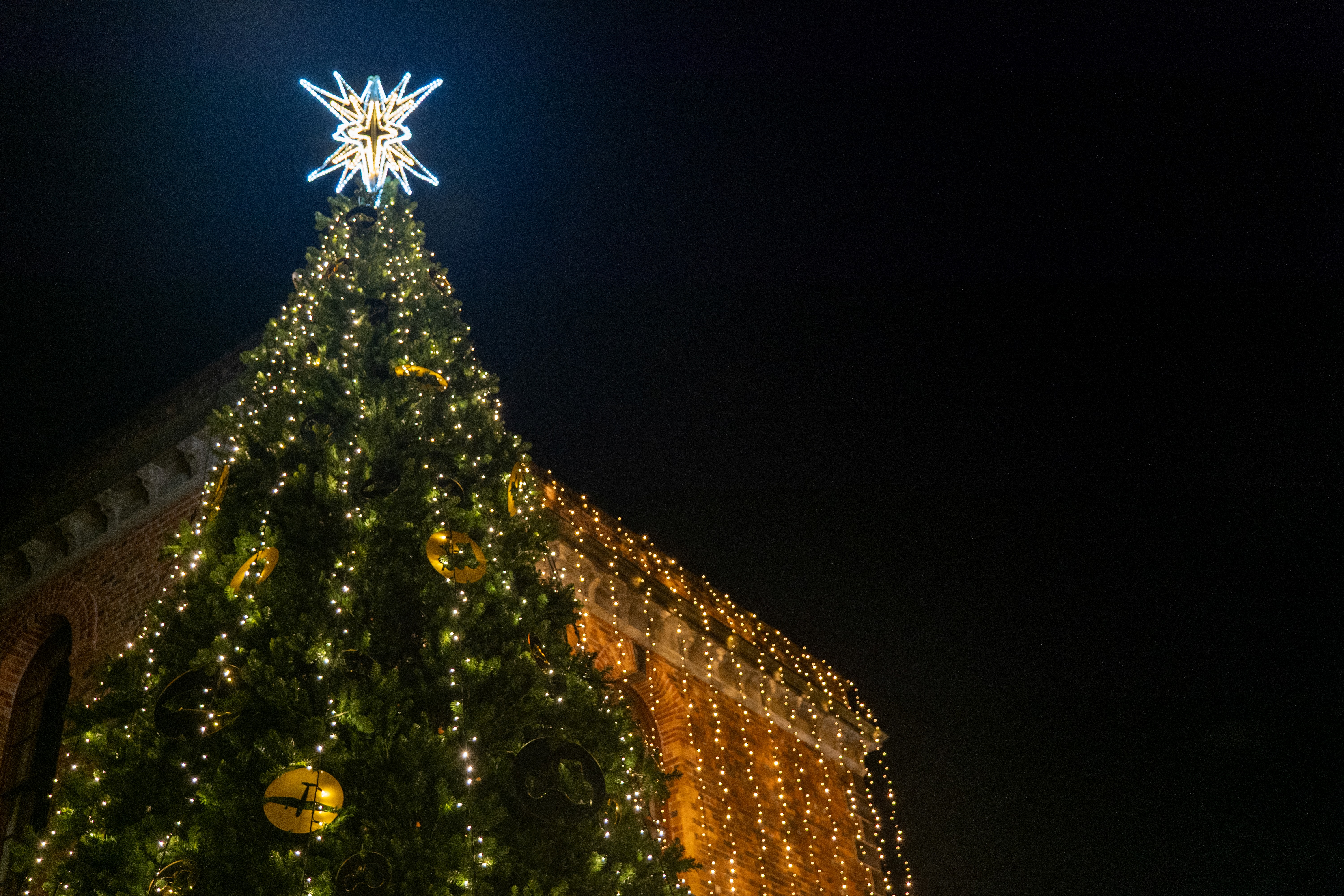 MOTAT's iconic Christmas Tree
