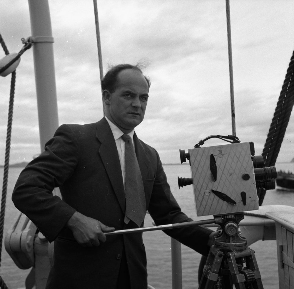 A Polarising Sauce The Essence of Anchovies MOTAT New Zealand