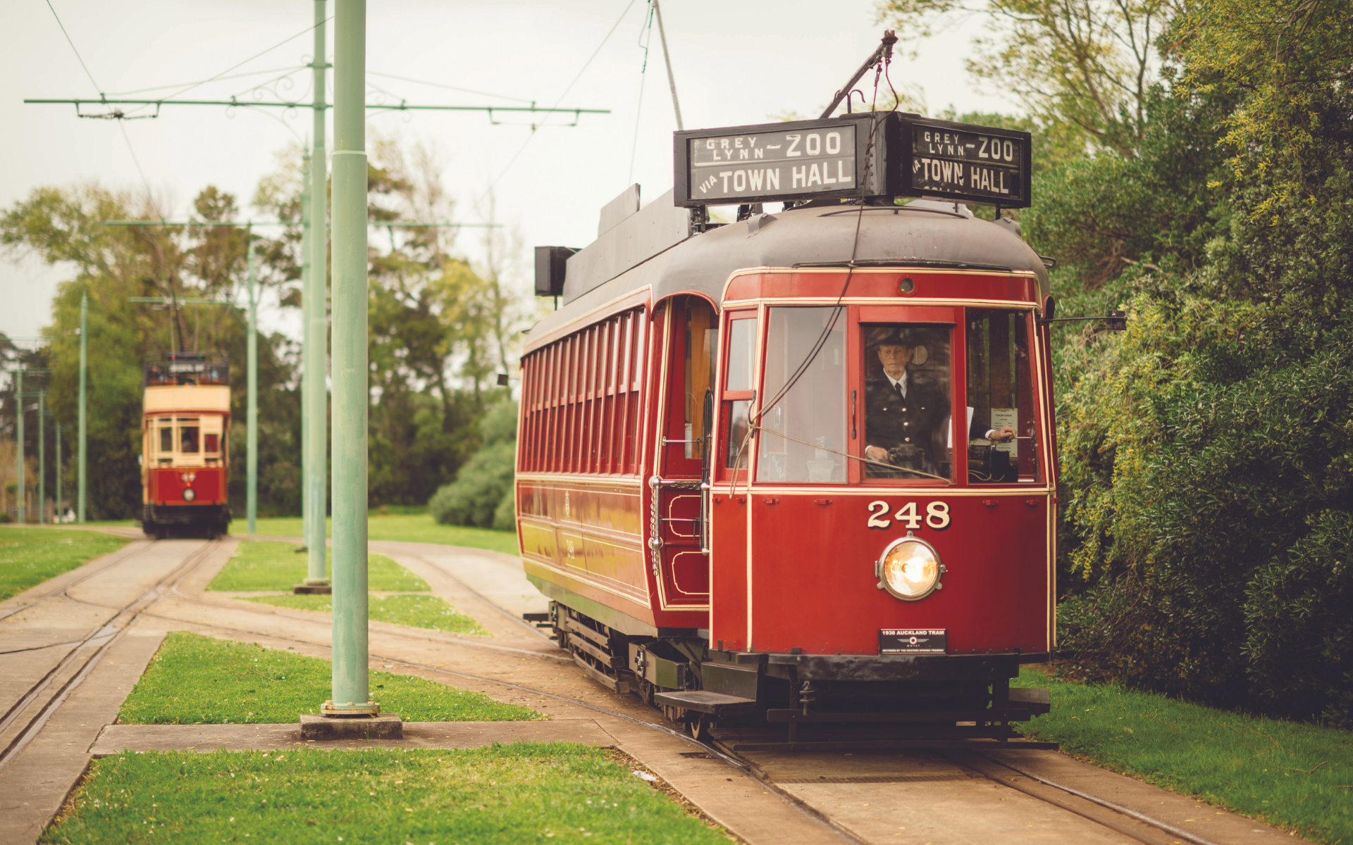 Tram ride between Aviation Lates and Zoo Lates