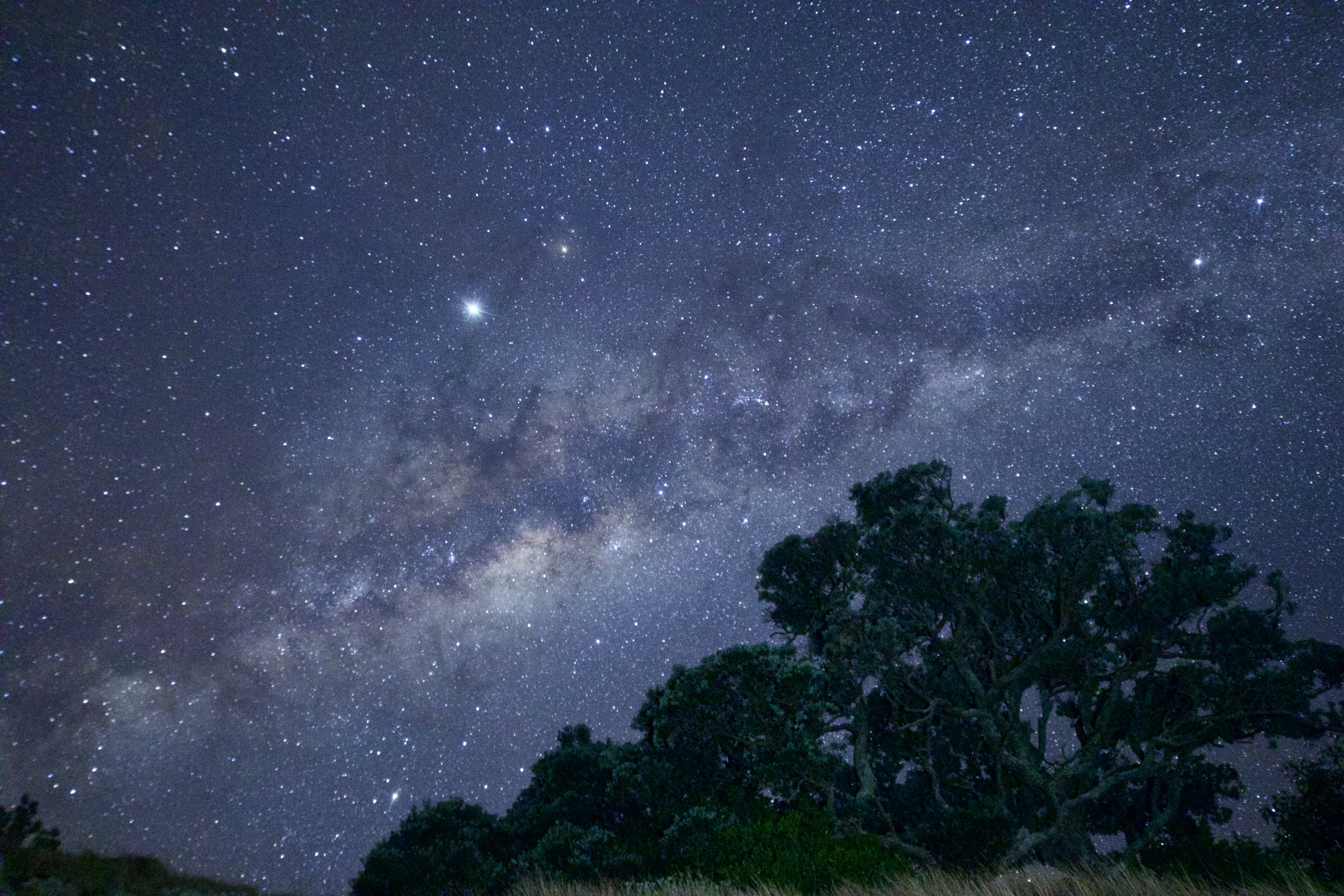 Images courtesy of Josh Aoraki.