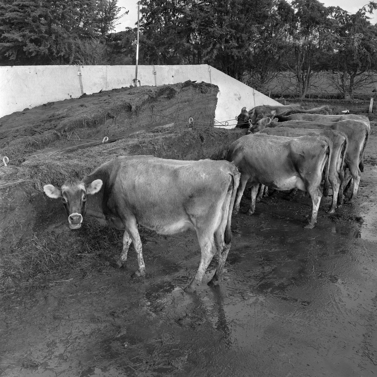 IMAGE 3 WAC 2010 012 106.019 ACC