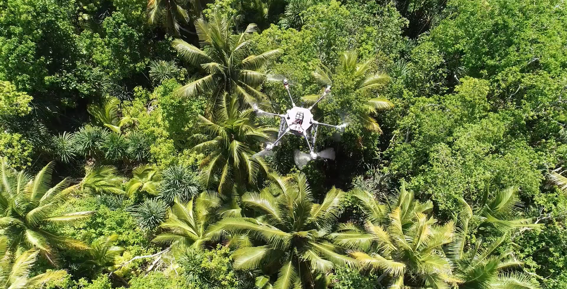 Drone over Galapagos Island 