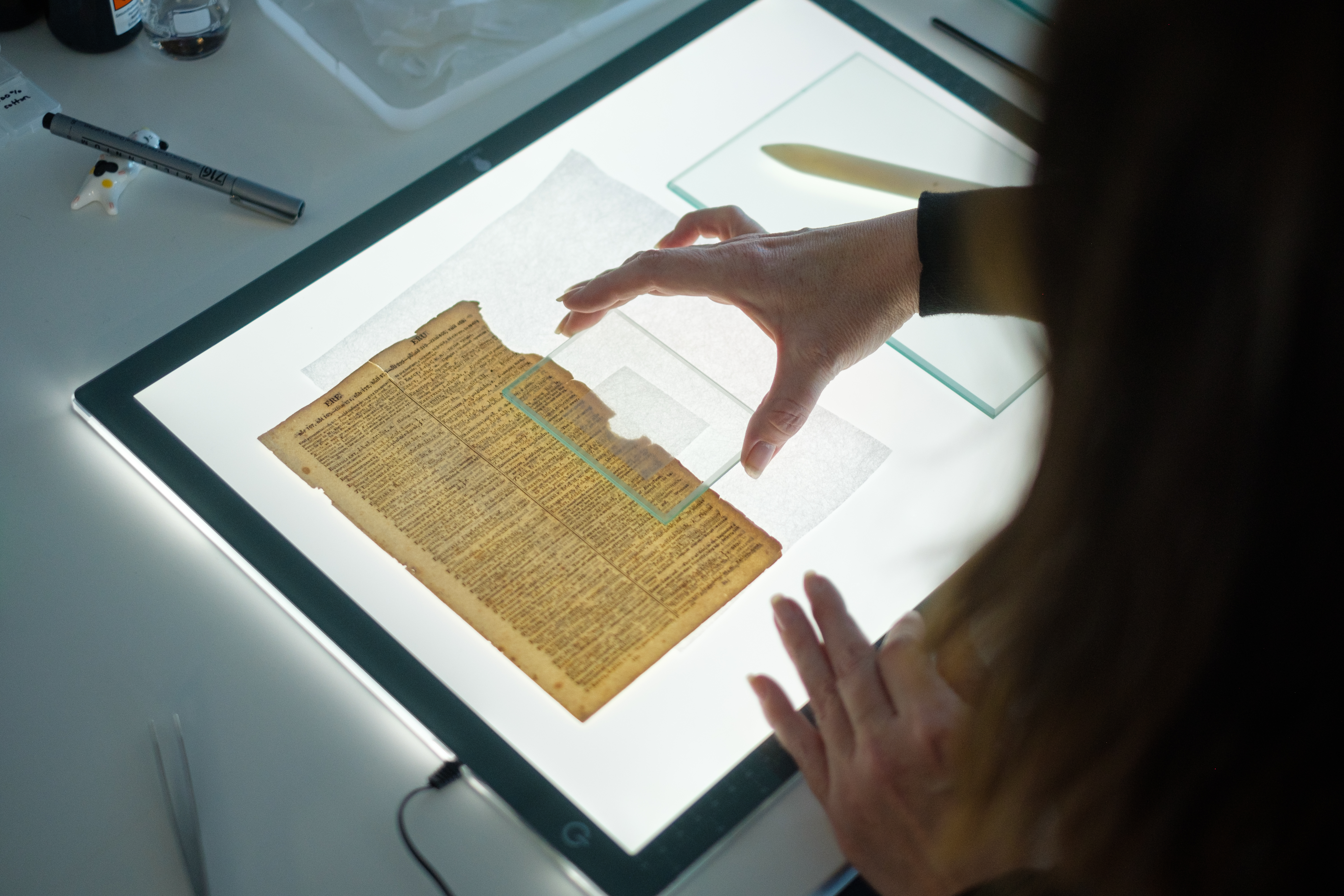 Conservation in action