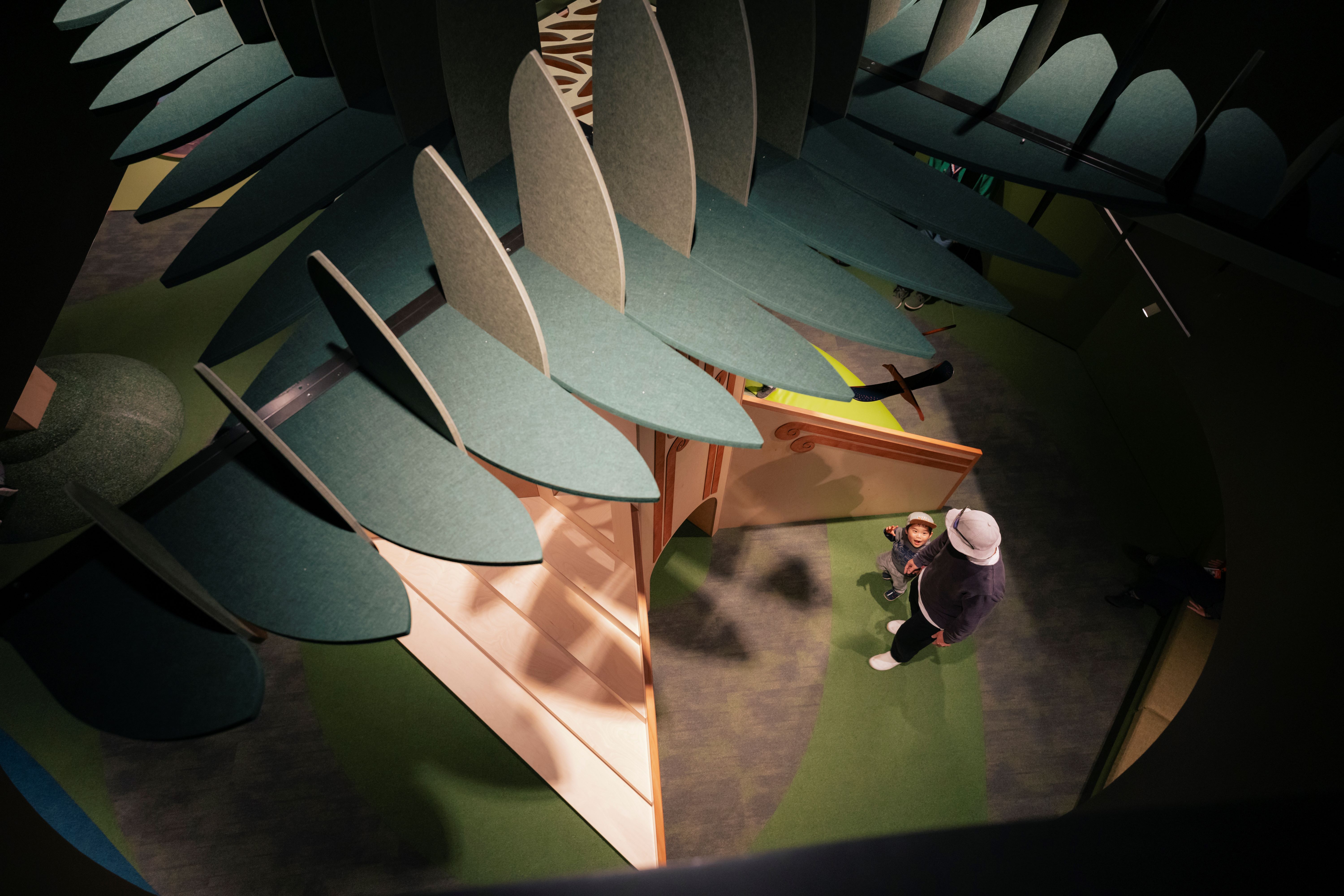 Looking down on Tane Mahuta in Te Tumu – the under 5's space