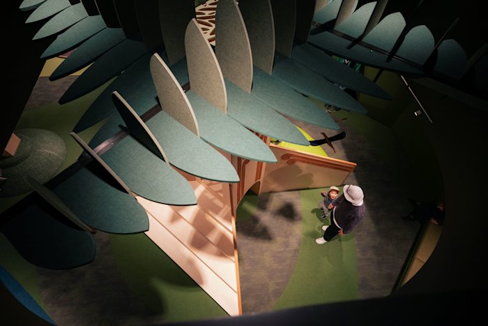 Looking down on Tane Mahuta in Te Tumu – the under 5's space