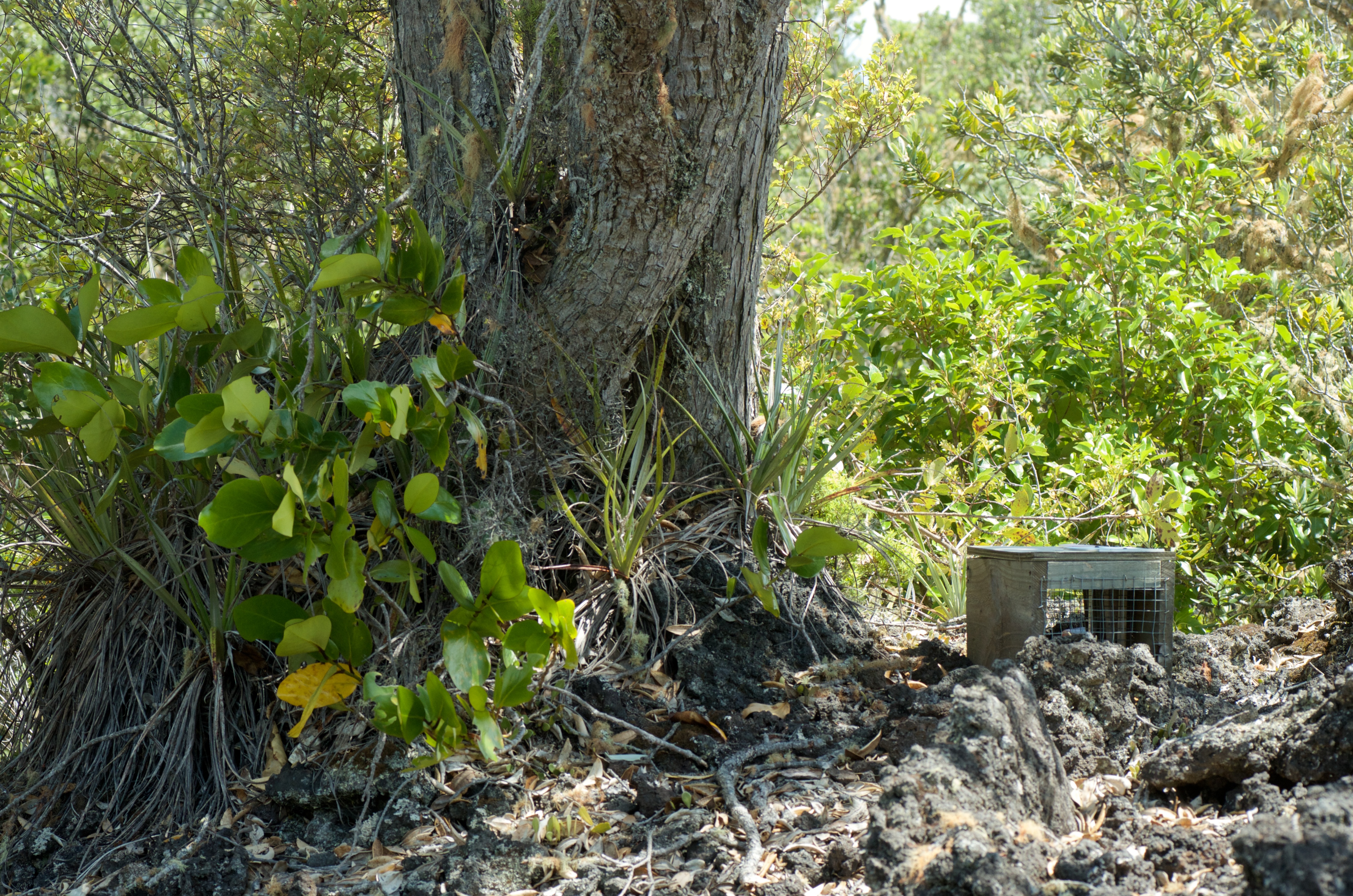 07 11375688804 0c15d0c5e5 o