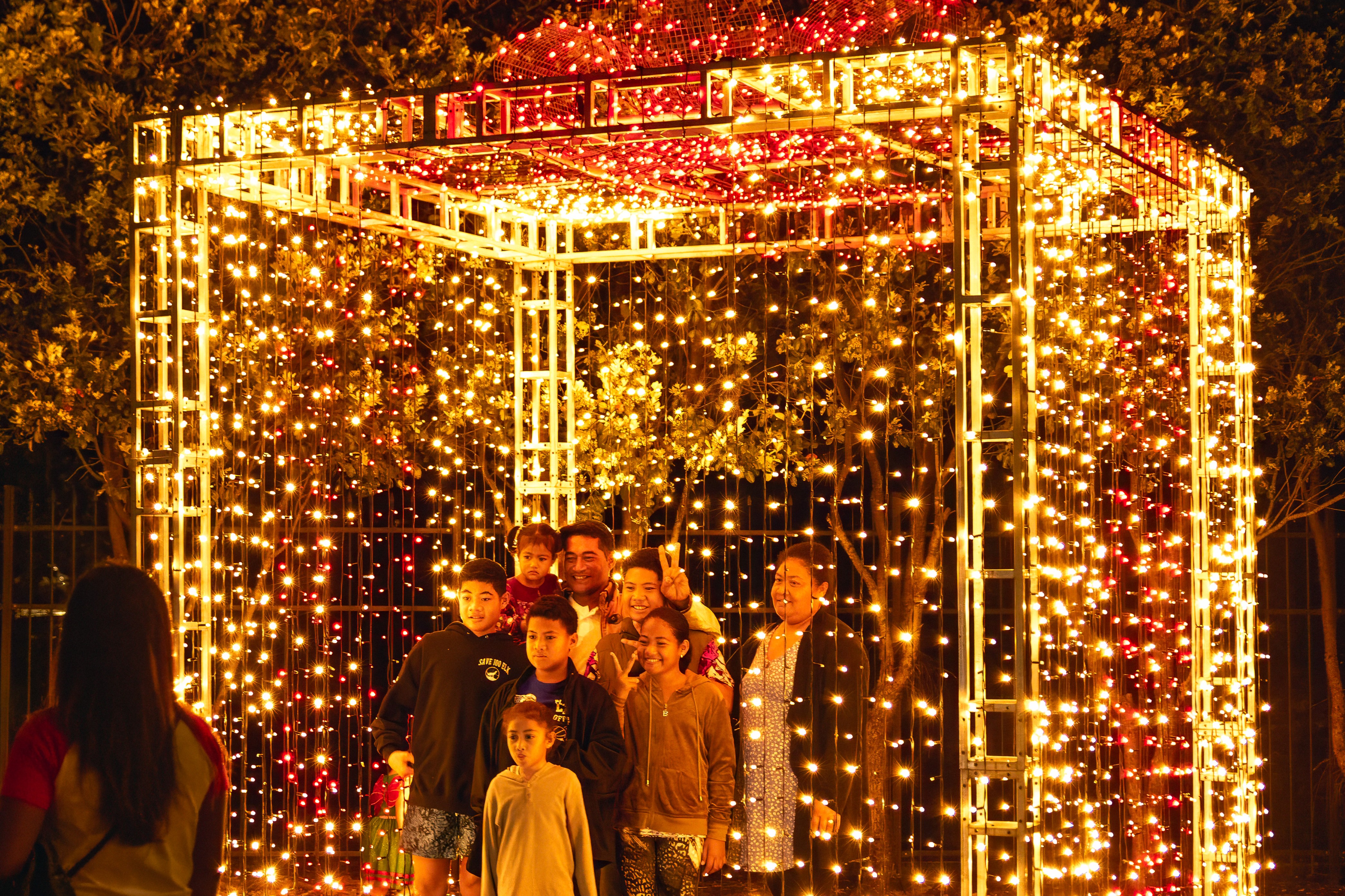 Family photo time! Get your annual Christmas card pic at MOTAT