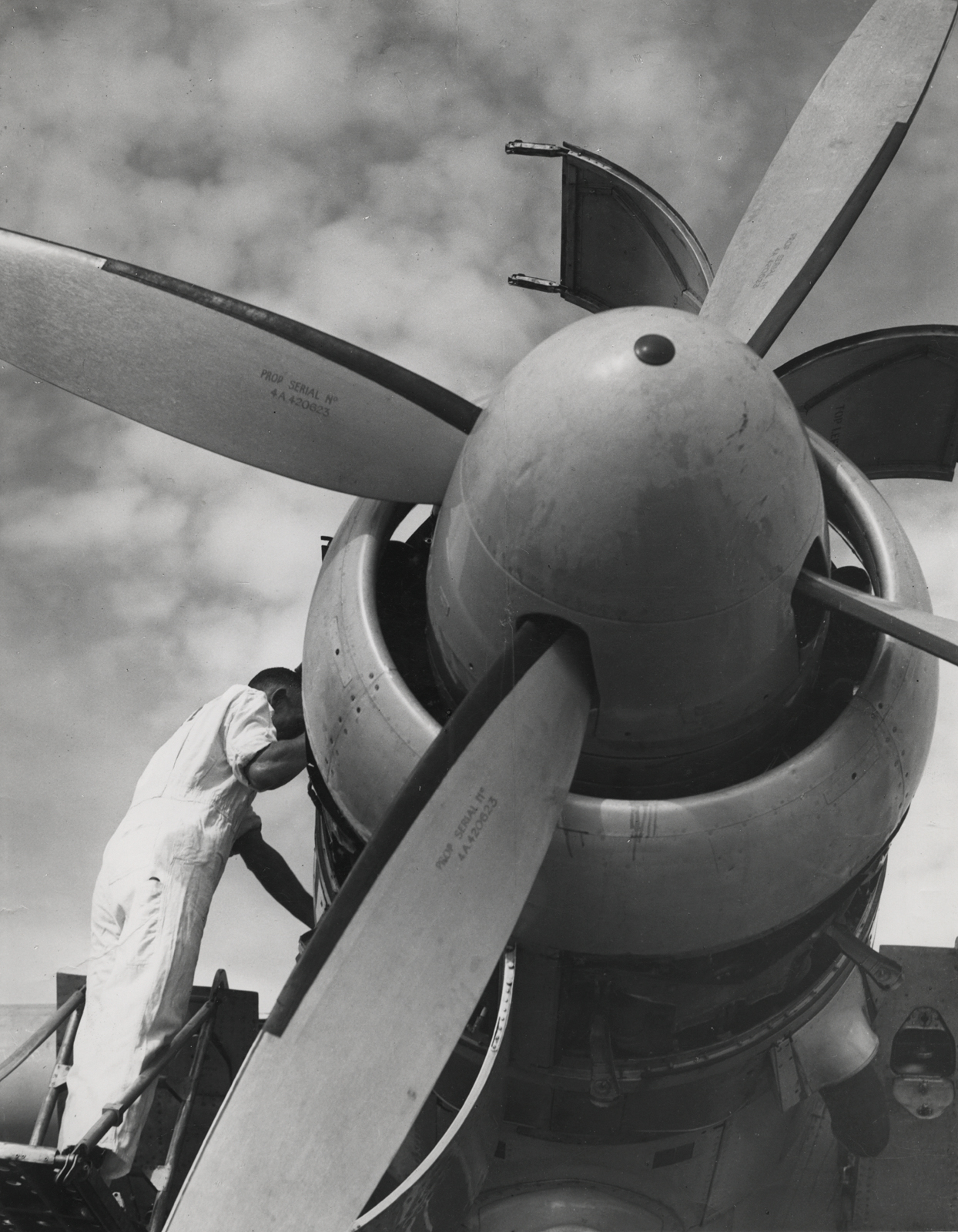 Whites Aviation Limited. Aug 1952. TEAL Solent ZK-AMO, 15-0659.