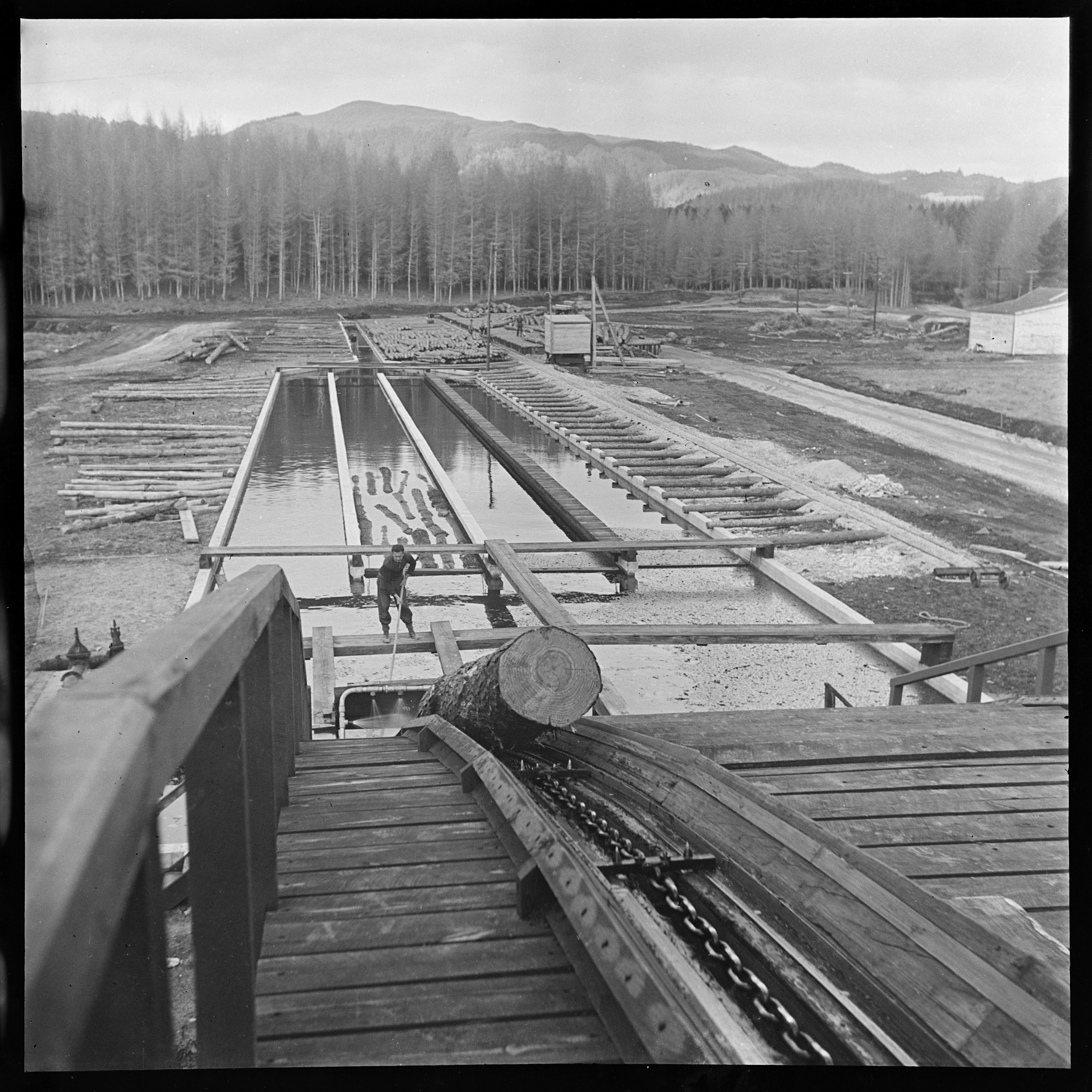 Ron Vine. 1940. The log pond at Waipa State Forestry Mill, PHO-2021-11.0720. Walsh Memorial Library, The Museum of Transport and Technology (MOTAT).