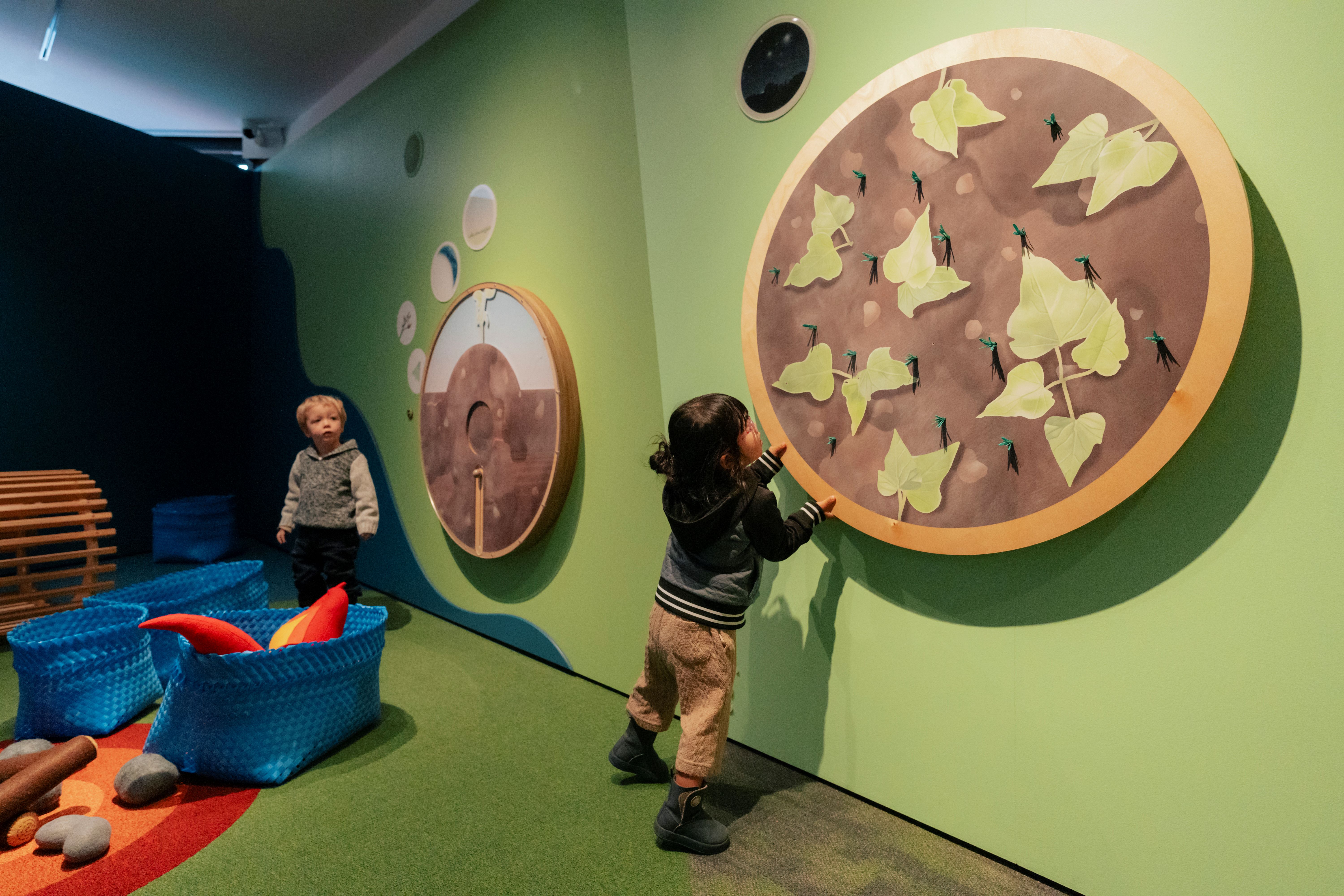 Growing kumara in Te Tumu 