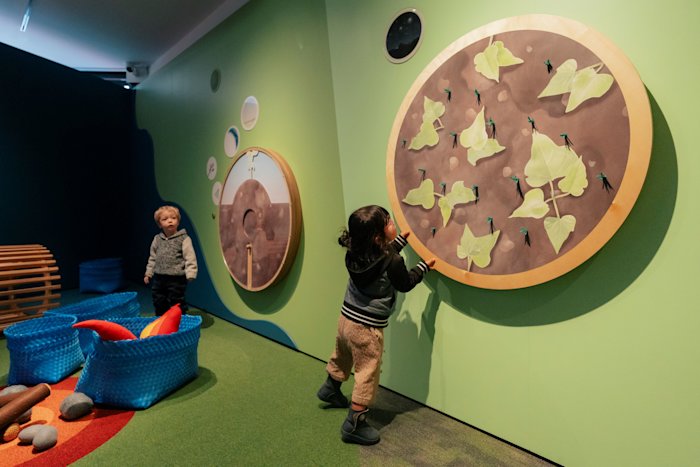 Growing kumara in Te Tumu