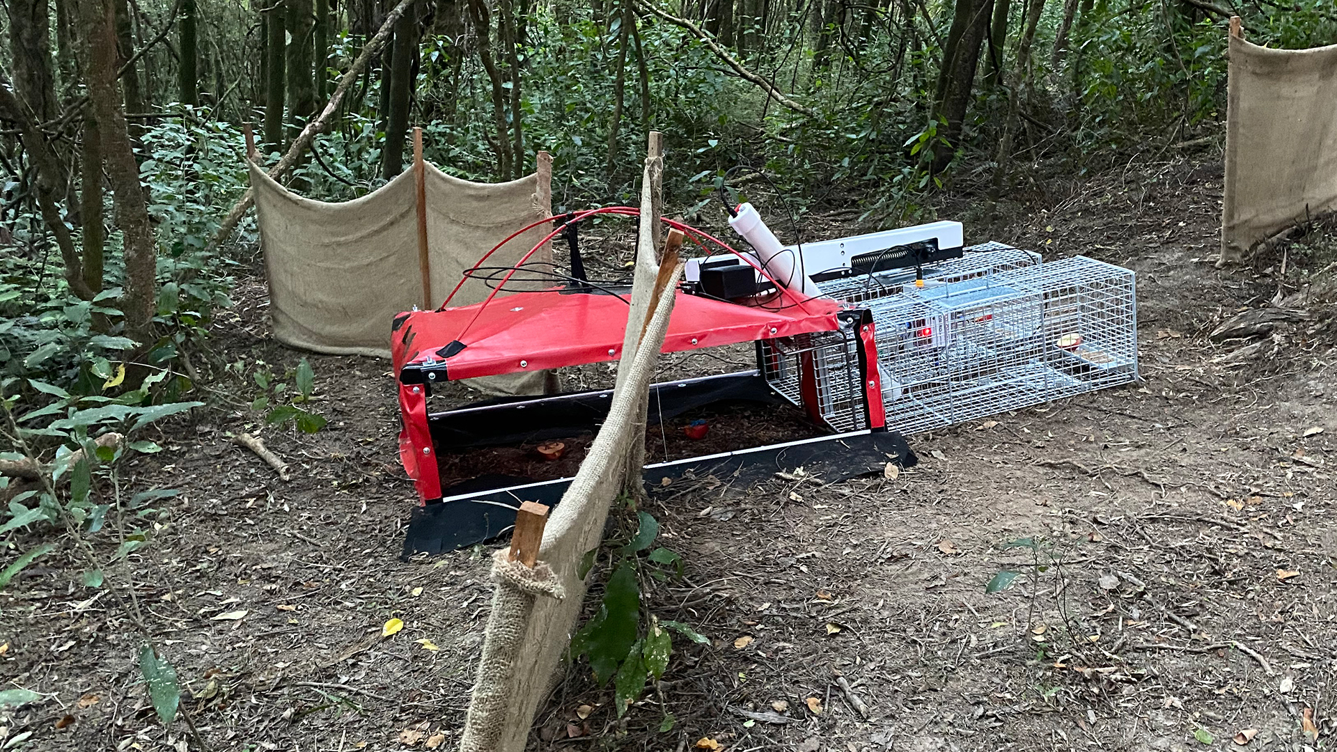 Te Kahu Ora - Cacophony Project traps-2