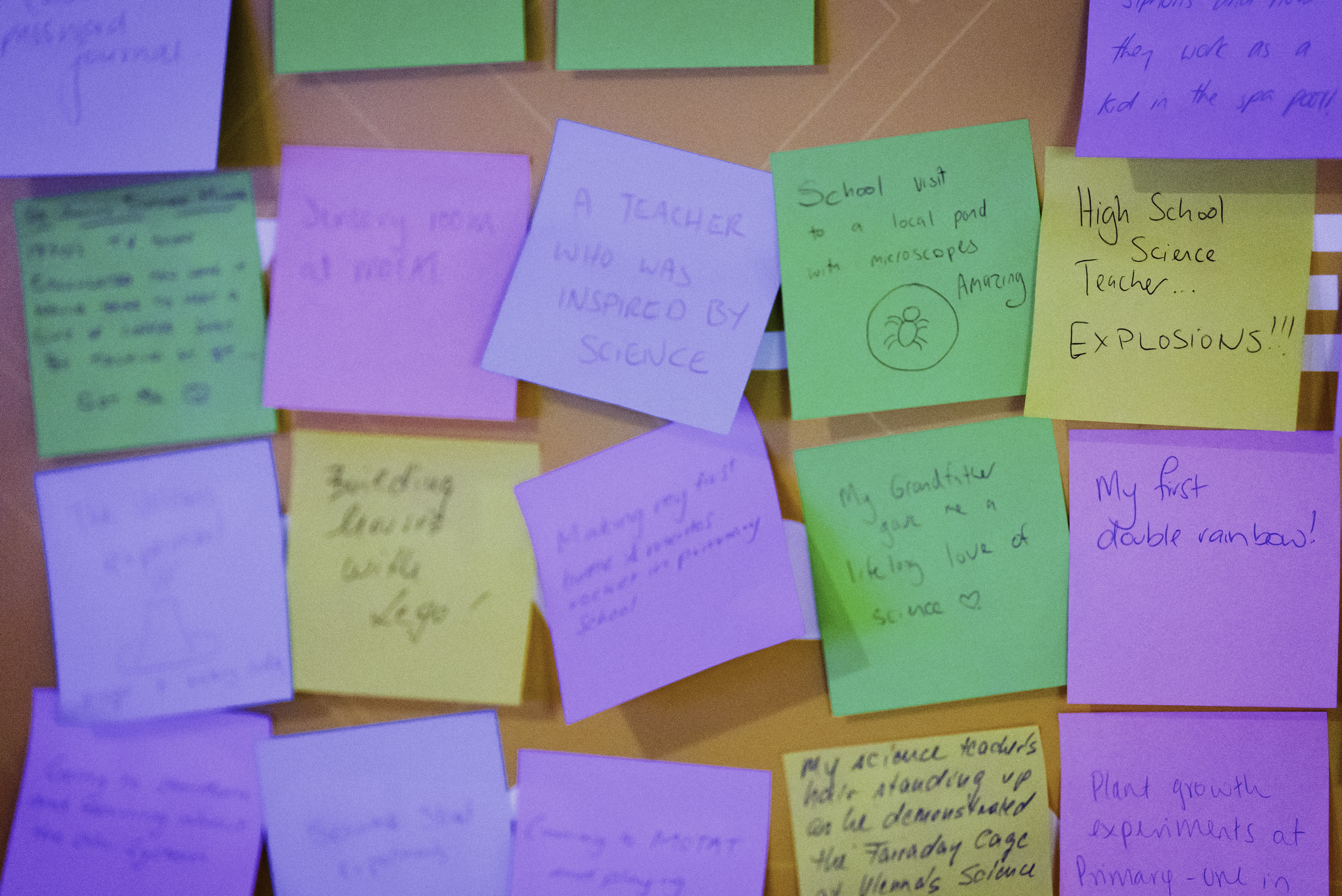 Guests shared their first experience of scientific discovery