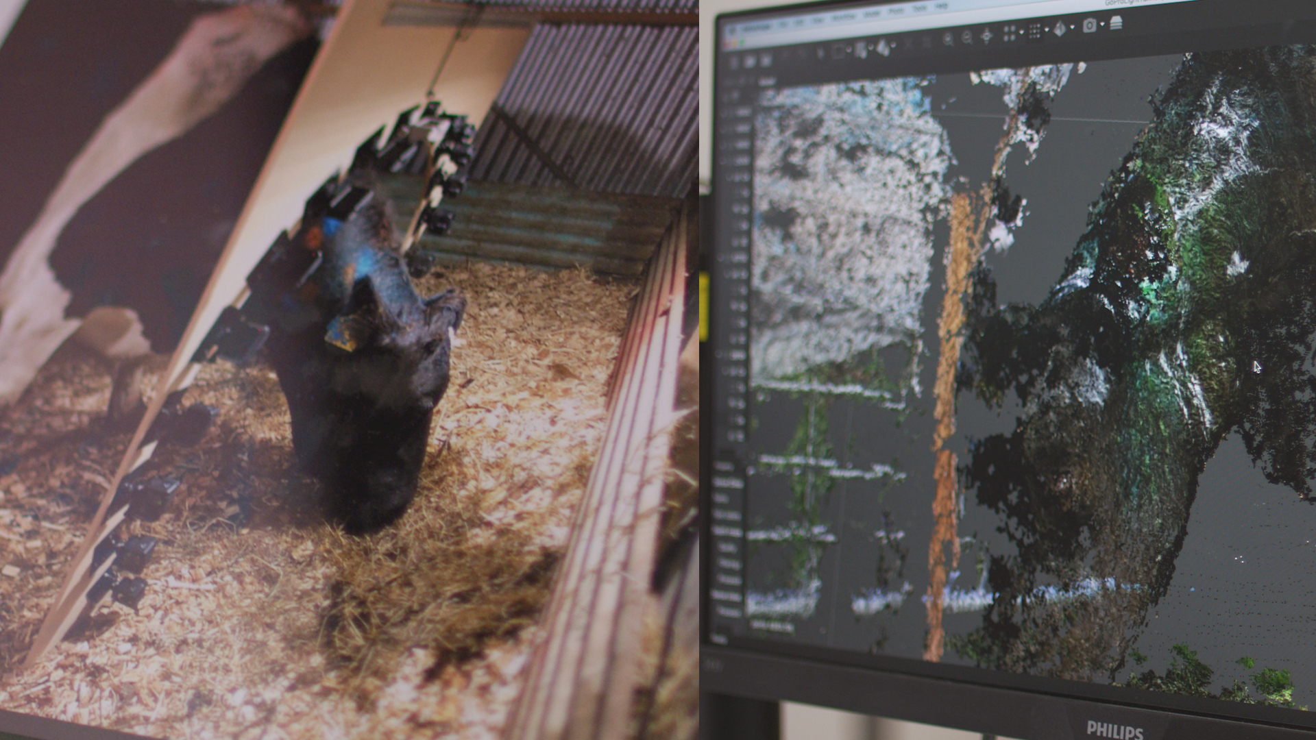 Halter Tech & Development