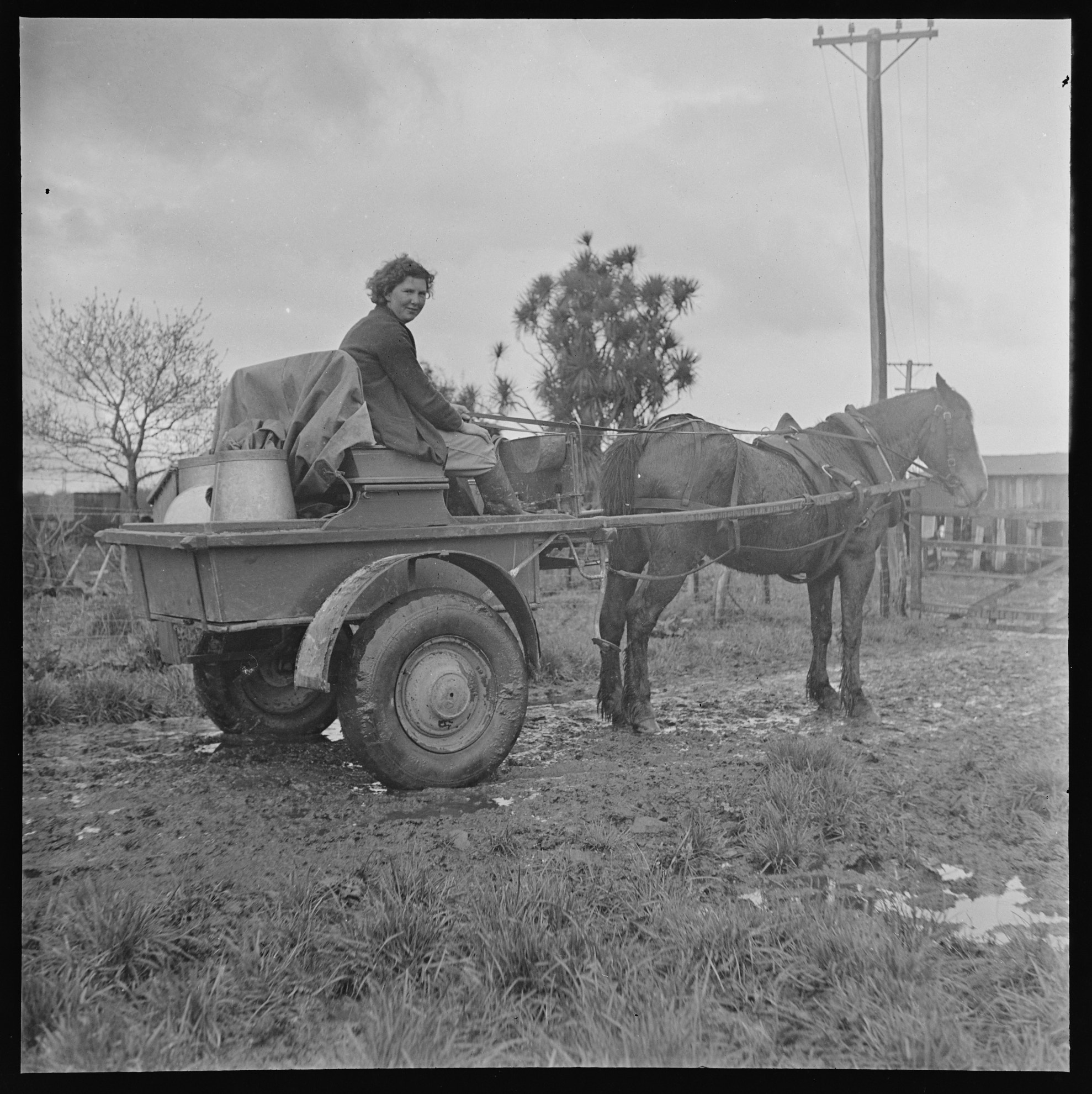 Ron Vine. Miss Lampshire and her horse drawn herd testing wagon, PHO-2021-11.0046. Walsh Memorial Library, The Museum of Transport and Technology (MOTAT).