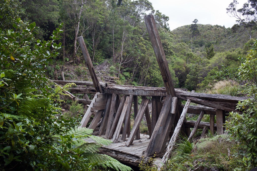 Remains of a river dam used to move the Kauri timber logs out of the forest. Built in 1924.