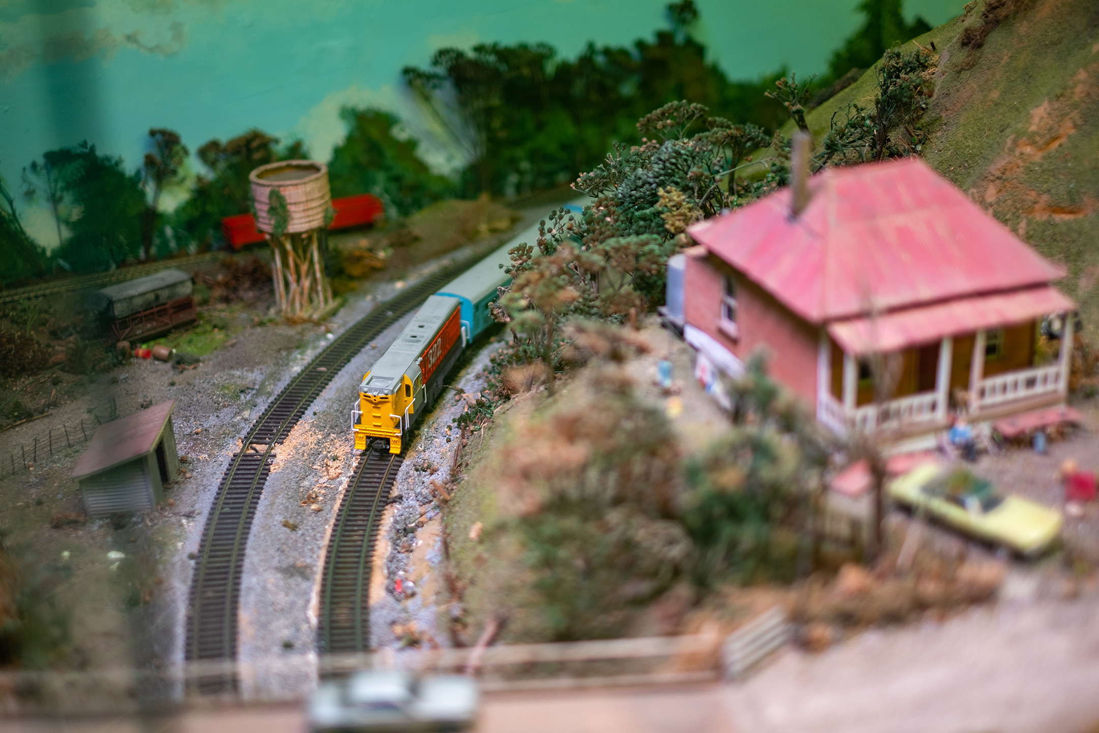 Toot Toot! Passing through rural New Zealand.