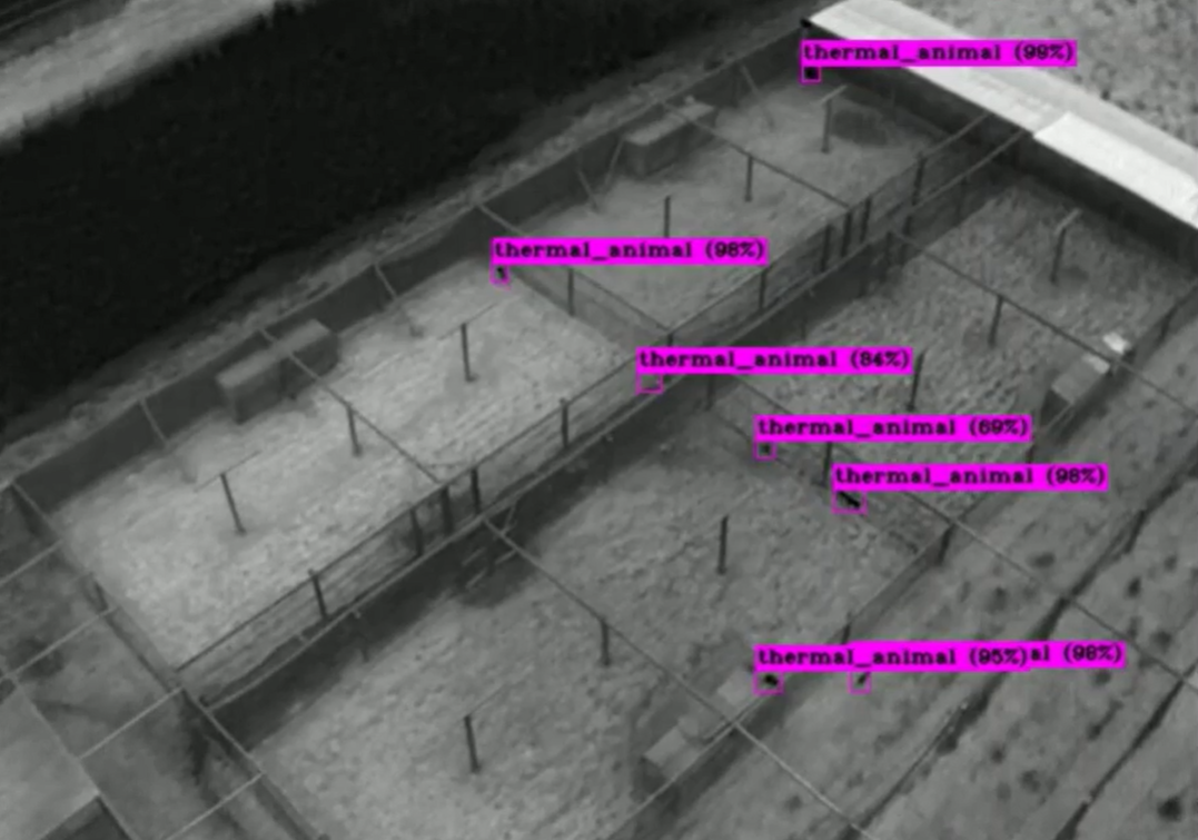 Thermal Imaging AI