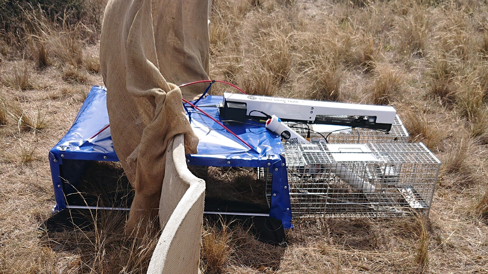 Te Kahu Ora - Cacophony Project traps-1