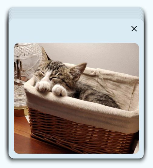 Cards are stacked in a way that they align horizontally almost perfectly. The topmost card has a picture of a cat sleeping in a basket, with the front paws cutely on the edge of the basket. 